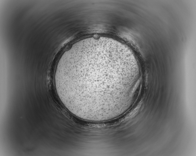 X0000095941210200802011034