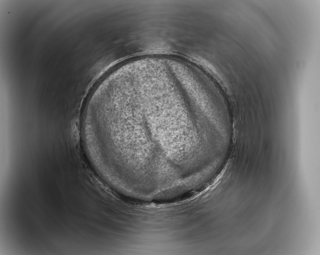 X0000095941212200802011034