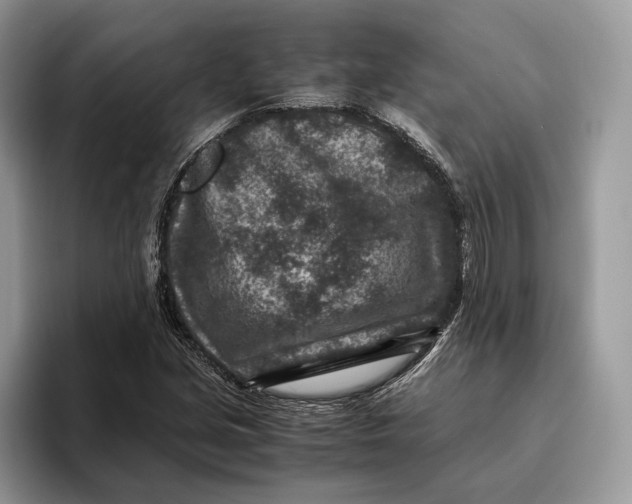 X0000095941213200802011034