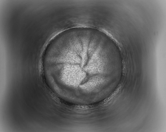 X0000095941215200802011034