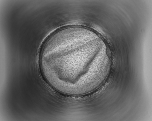 X0000095941216200802011034