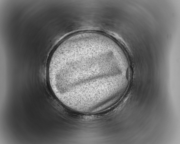 X0000095941220200802011034