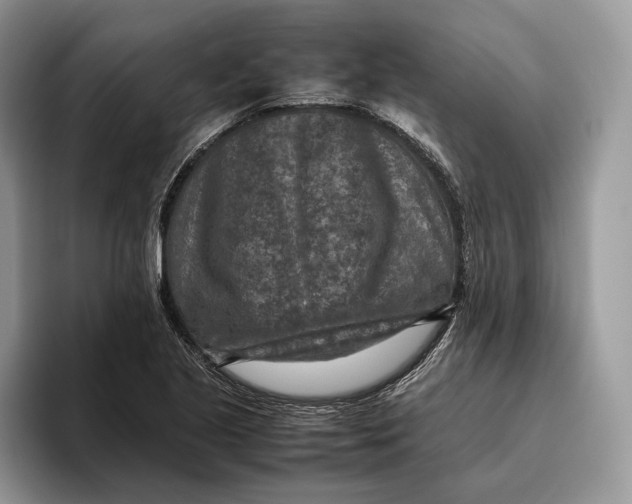 X0000095941221200802011035