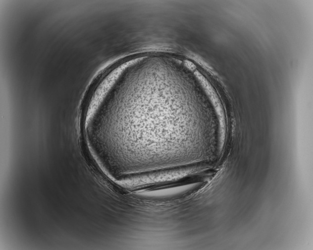 X0000095941222200802011035