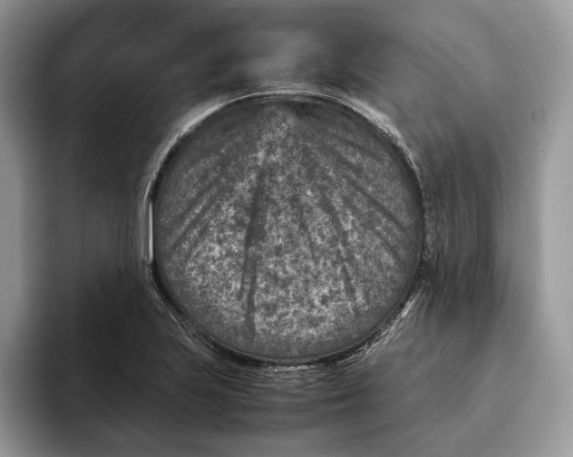 X0000095941223200802011035