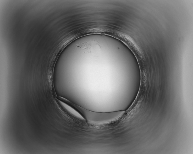 X0000095941225200802011035