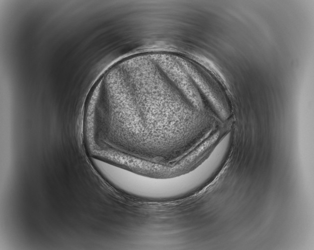 X0000095941228200802011035