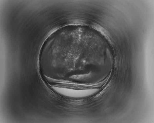 X0000095941229200802011035