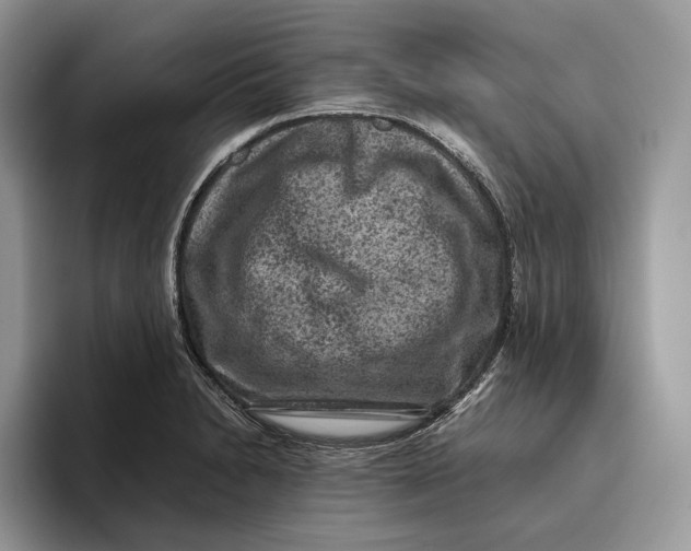 X0000095941230200802011035