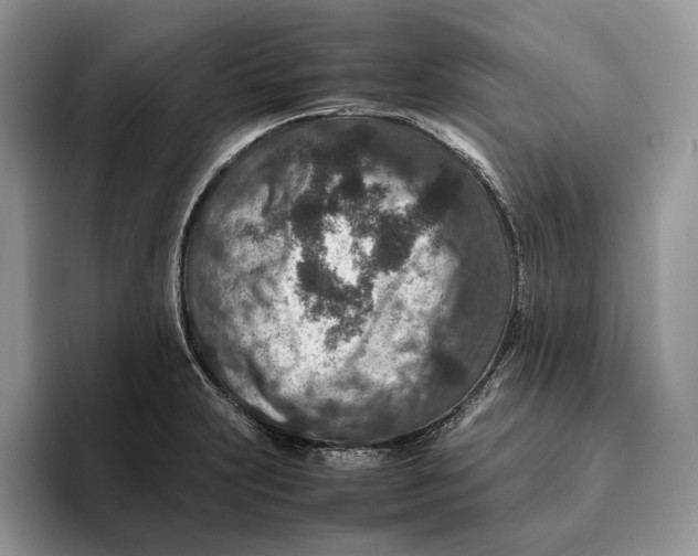 X0000095941231200802011035