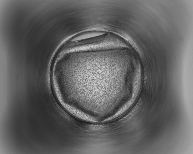 X0000095941232200802011035