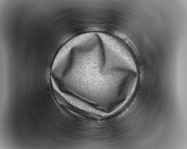 X0000095941233200802011035