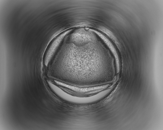 X0000095941234200802011035