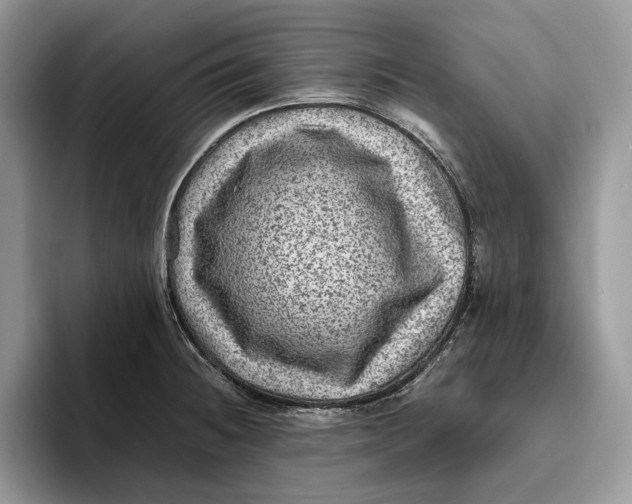 X0000095941236200802011035