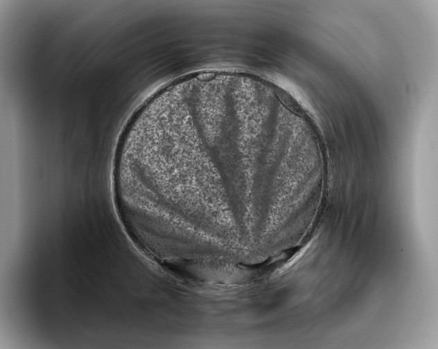 X0000095941237200802011035