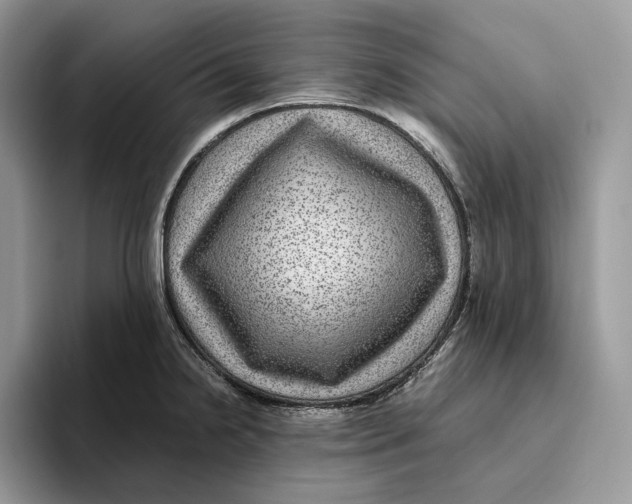 X0000095941238200802011035