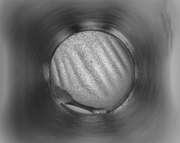 X0000095941241200802011035