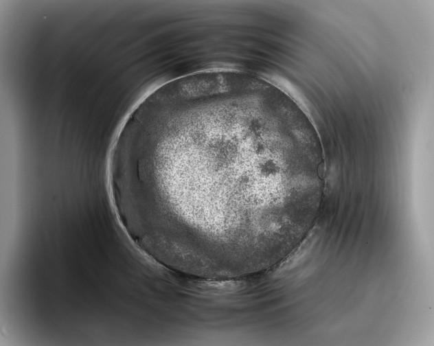 X0000095941243200802011035