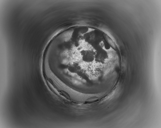 X0000095941245200802011035