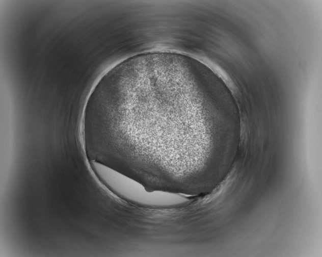 X0000095941247200802011035