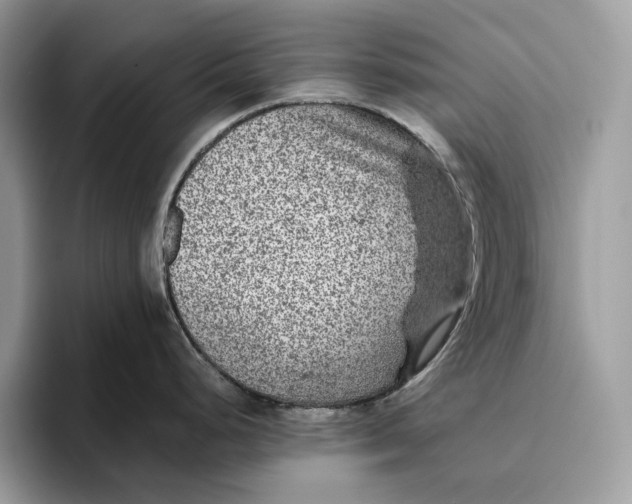 X0000095941248200802011035