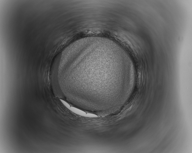 X0000095941250200802011034