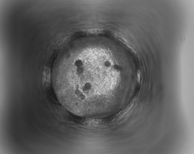 X0000095941251200802011034