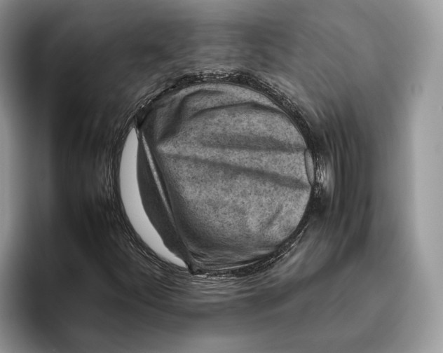 X0000095941252200802011034