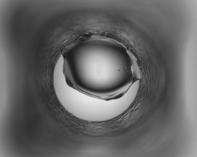 X0000095941253200802011034