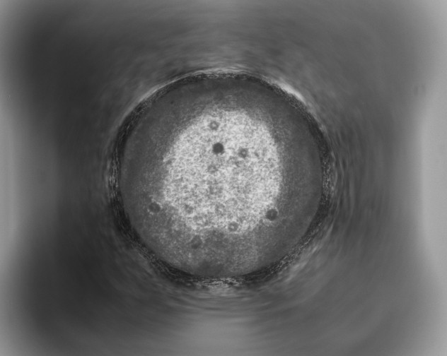 X0000095941255200802011034