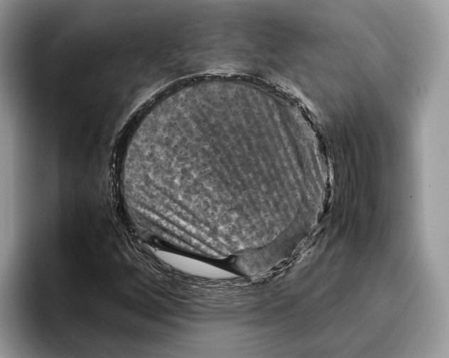 X0000095941256200802011034