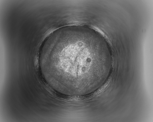 X0000095941259200802011034