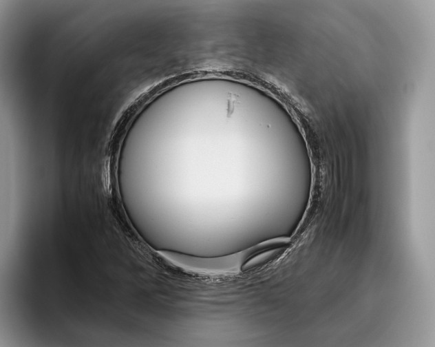 X0000095941262200802011034