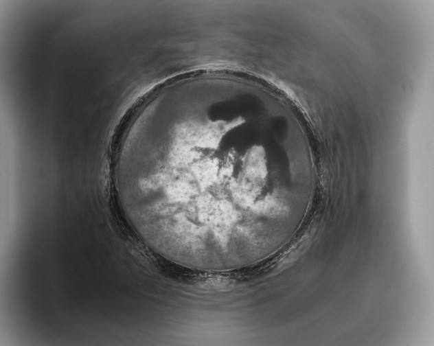 X0000095941263200802011034