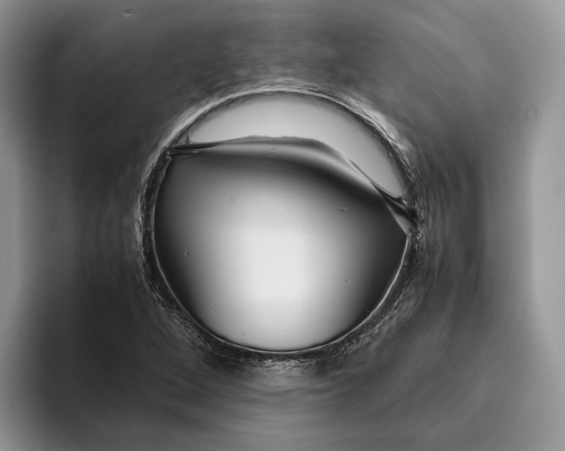 X0000095941264200802011034