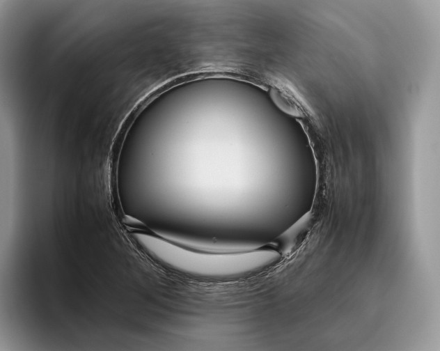 X0000095941268200802011034