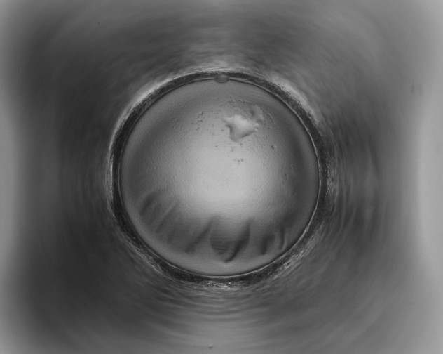 X0000095941270200802011034