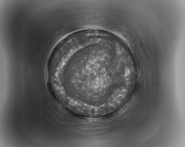 X0000095941271200802011034