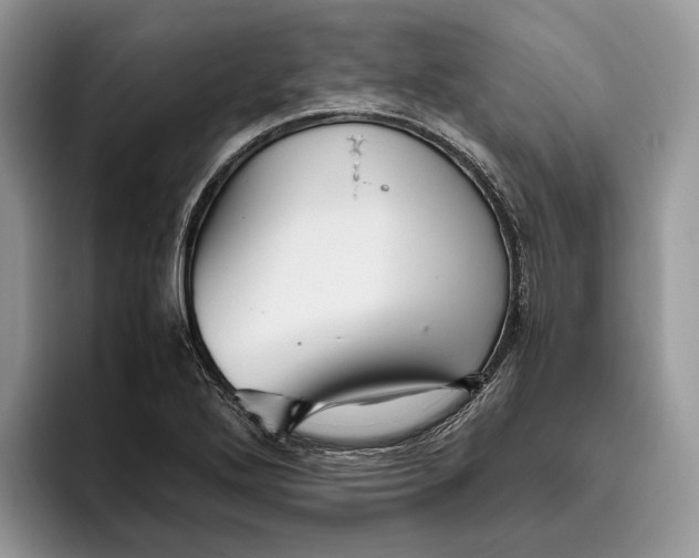 X0000095941272200802011034