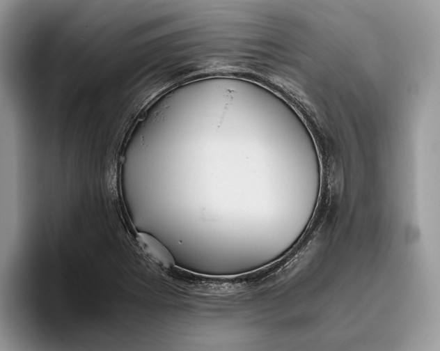 X0000095941273200802011034