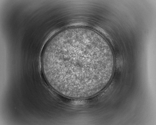 X0000095941274200802011034