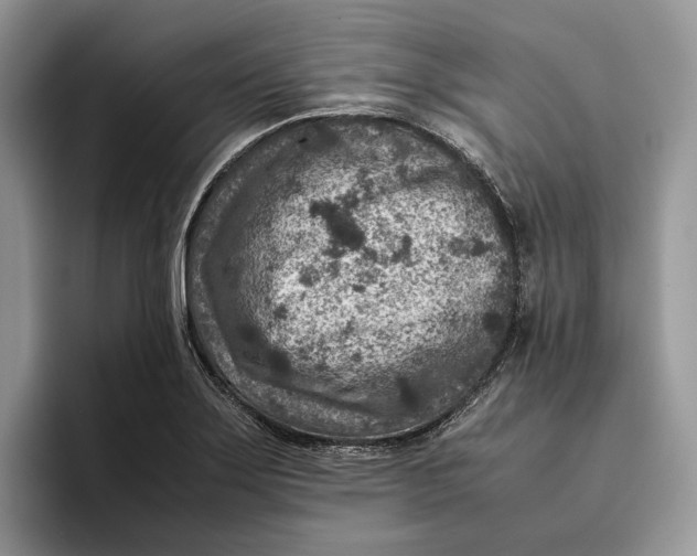 X0000095941275200802011034