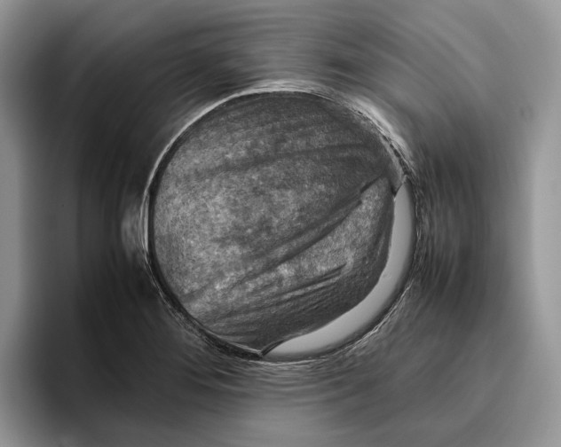 X0000095941276200802011034