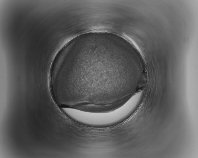 X0000095941277200802011034