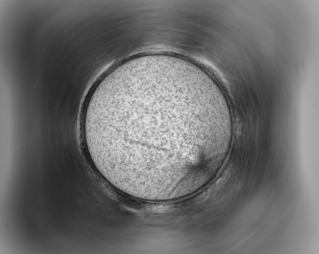 X0000095941278200802011034