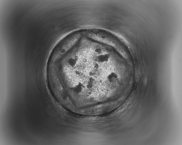 X0000095941279200802011034