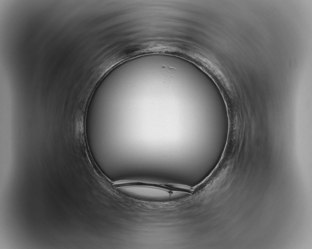 X0000095941281200802011034