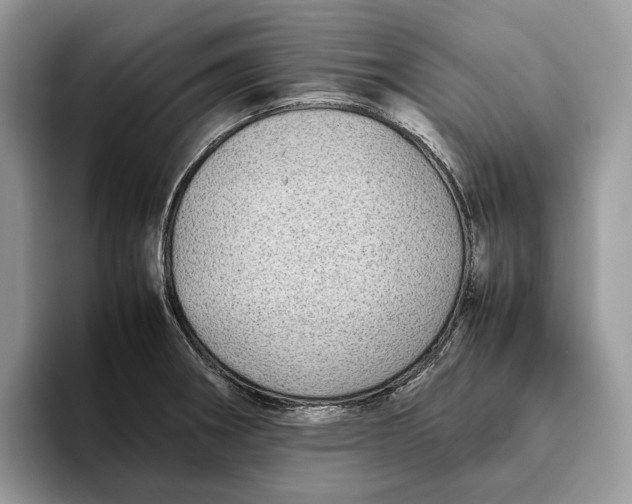 X0000095941282200802011034