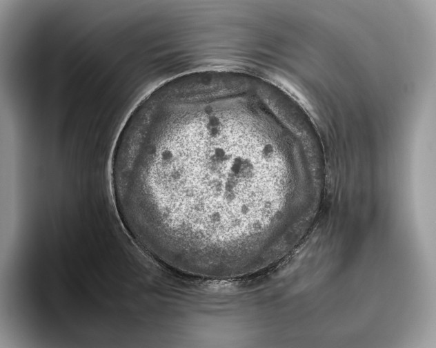 X0000095941283200802011034