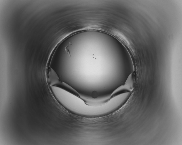 X0000095941284200802011034